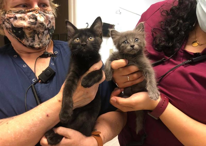 Carousel Slide 4: Learn more about us!